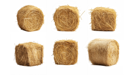 Hay bales, cylindrical straw bundles, farm harvest, agricultural photography, golden wheat stacks, rustic textures, rural scenery, sunlit hay rolls, farmland imagery, organic materials