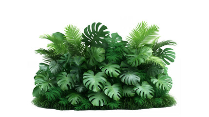 Lush tropical foliage, dense green leaves, monstera plants, ferns, philodendron, botanical arrangement, jungle aesthetic, vibrant greenery, houseplants, indoor garden, tropical paradise