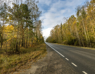 A road with trees on either side and a clear blue sky