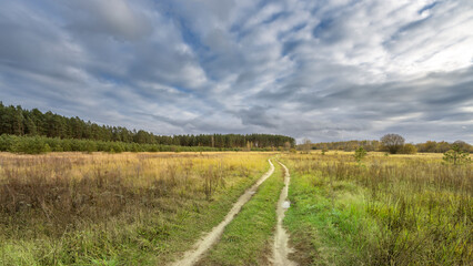 A road cuts through a field of grass