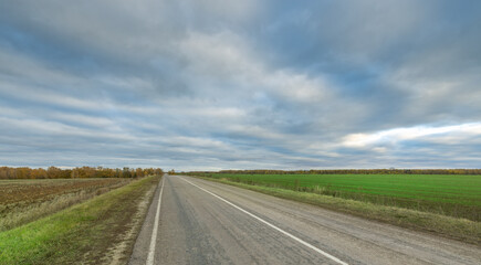 Fototapeta premium A road with a few trees in the background and a cloudy sky