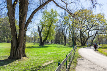 Park with a path and a fence