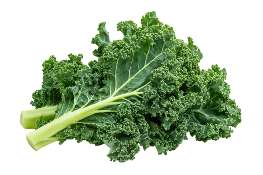 Chinese kale vegetable isolated png on a transparent background