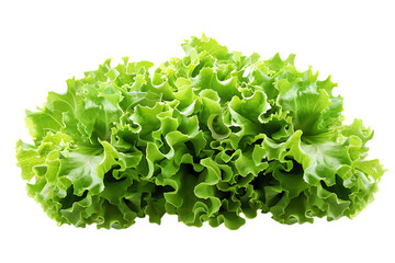 Obraz premium Fresh green lettuce isolated png on a transparent background
