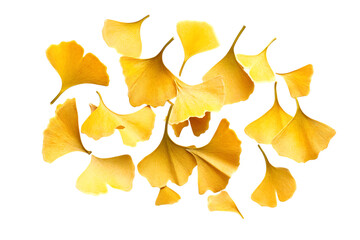 Fototapeta premium Ginkgo seeds isolated png on a transparent background