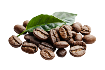 Fresh coffee beans isolated png on a transparent background