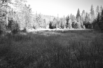 Sentier Père Buteux 15 Novembre 2024