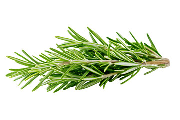 Fresh rosemary isolated png on a transparent background