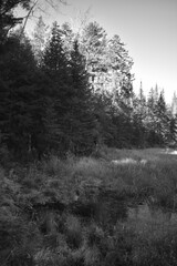 Sentier Père Buteux 15 Novembre 2024