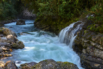 Nature’s tranquility at its finest Pampa Hermosa offers an escape into pristine beauty, where lush forests and serene landscapes create the perfect retreat. A hidden gem in the heart of the Peru. 