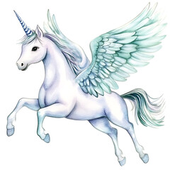 white horse isolated on white