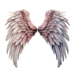 Obraz premium Pair of Delicate, Pastel-Colored Angel Wings with Detailed Feathers