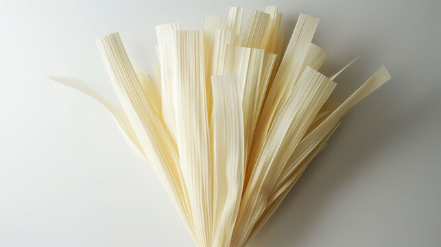 Natural raw sugarcane bagasse fibers displayed on a clean white background in soft lighting