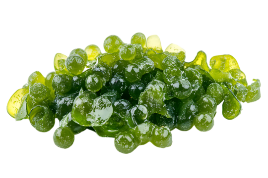 Sea grapes ( green caviar ) seaweed isolated png on a transparent background