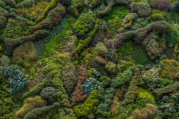 Green background nature wall vertical garden at interior and exterior decoration home or office for living in good relax space.