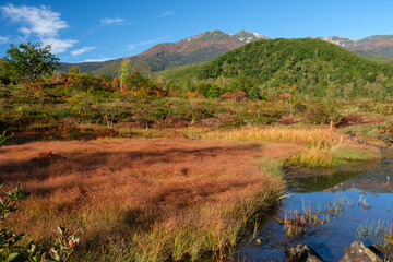 一ノ瀬園地の水辺