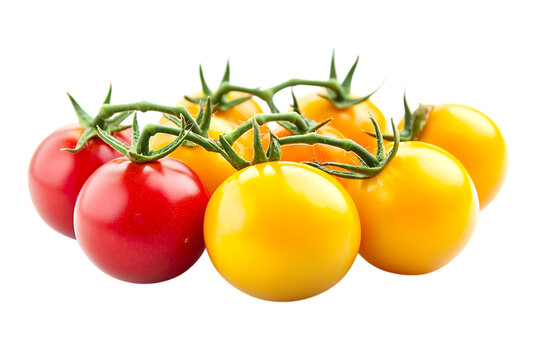 Red and yellow tomatoes isolated png on a transparent background - Powered by Adobe