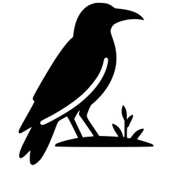 Silhouette of a crow