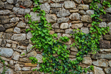 Green background nature wall vertical garden at interior and exterior decoration home or office for living in good relax space.