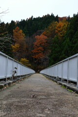 Obraz premium 岐阜県高山市荘川の橋と薄暗い紅葉