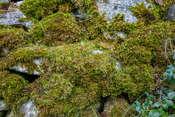 Details of old stone wall with moss with strong texture