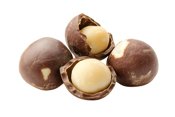 Macadamia nuts isolated png on a transparent background