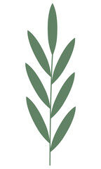 Green leaf flat icon isolated on white background.