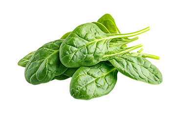 Obraz premium Spinach leaves isolated on a white background