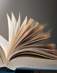 Open book with pages fanned out, showcasing the texture and detail of the paper.