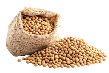 Soy beans isolated on a white background