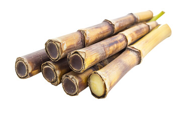 Sugarcane isolated on a white background
