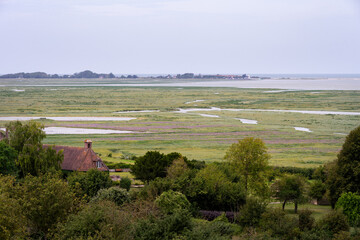 View of the Bay of Somme in summer, Picardie, France