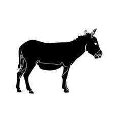 Donkey silhouette vector