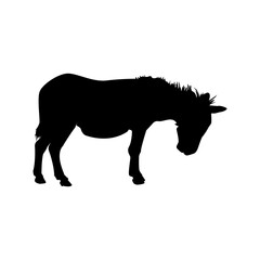 silhouette of a donkey icon