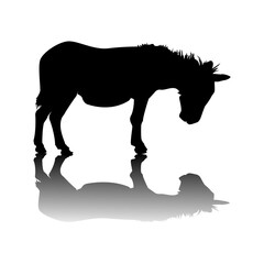 Vector image of a silhouette of a donkey on a white background.