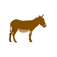Donkey icon vector