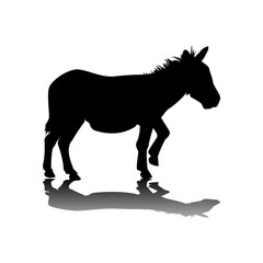 Black silhouette of a donkey on a white background. Vector illustration.