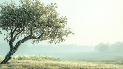 Close up on pale tree landscape outdoors nature.