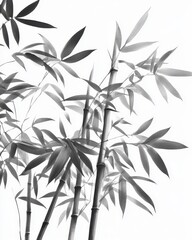Fototapeta premium Bamboo illustration displaying intricate leaves and stalks from a frontal perspective against a crisp white backdrop.