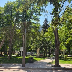 alley in the park