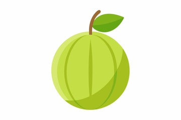 Delicious amla white background vector art illustration