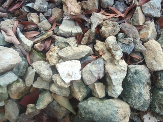 Each surface tells a story through rough edges, smooth surfaces, and natural hues, creating a visual tapestry crafted by time