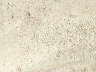 A rough wall texture adds a raw, organic quality to any space, making it feel grounded and visually engaging