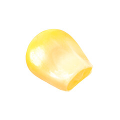One fresh corn kernel isolated on white