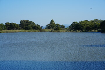 滋賀県　奥びわスポーツの森の風景