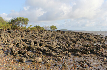 Obraz premium Rocky beach shoreline with mangrove trees under a partly cloudy sky