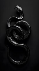 Majestic Black Snake wallpaper with Shiny Scales and Intense Amber Eyes, Displaying Its Graceful and Powerful Beauty.