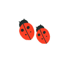 Obraz premium beautiful red lady bug 