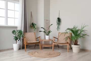 Armchairs, coffee table and houseplants in interior of living room