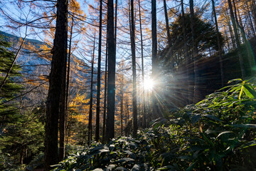 Obraz premium 初冬の燕岳 合戦尾根